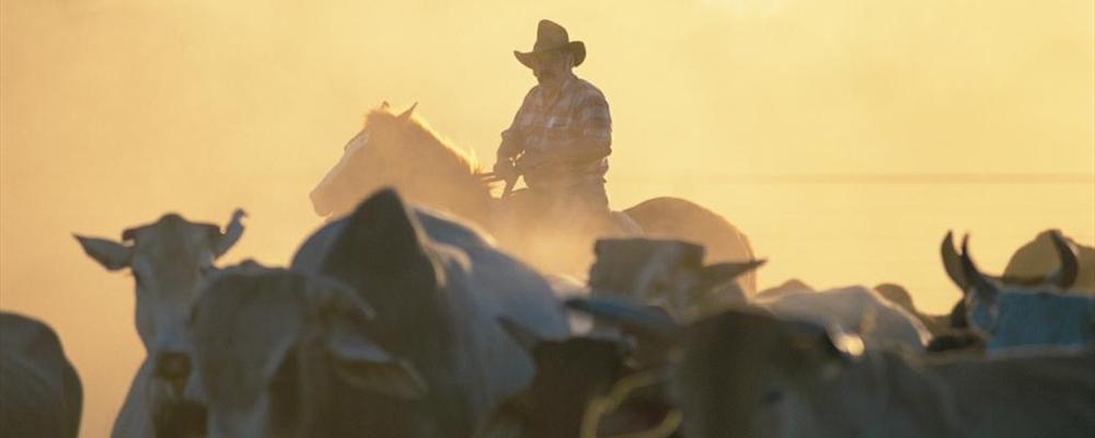 the australia we know and love